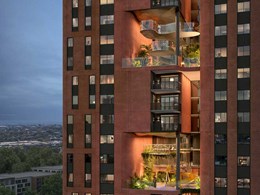 COX-designed build-to-rent project in Sydney’s North Shore prioritises communal amenity 