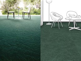 Visualise your carpet design at Nolan Carpets' Design Centre