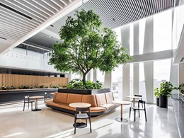 How to introduce biophilic design into office and commercial building interiors