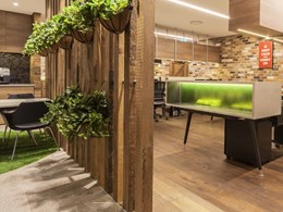 Designing healthier, natural interiors with timber