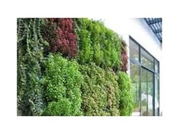 VertiGreen Hybrid pre-grown 3D trellis green walls available from Moodie Outdoor Products