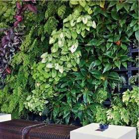 Gro-Wall® 3, For Vertical Garden Enthusiasts