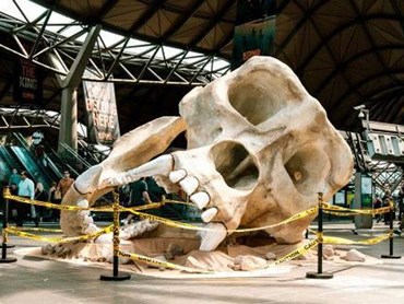 The giant skull made from polystyrene on display at Melbourne's Southern Cross Station