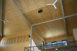 Ensuring Structural Plywood is up to Australian Standards