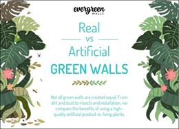 Infographic – real vs artificial green walls