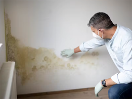 Could your building’s design no longer be enough in the fight against mould?