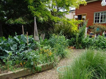 Single dwelling new veggie garden Catriona McLeod Kitchen garden