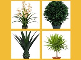Why fake plants are the real deal today