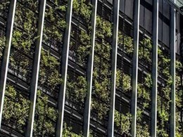 How much does it cost to install a green façade?
