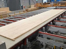 Major milestone at NeXTimber by Timberlink as first CLT panel comes off the line 