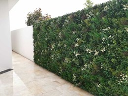 Premium outdoor green wall adds colour and texture to Bossley Park home