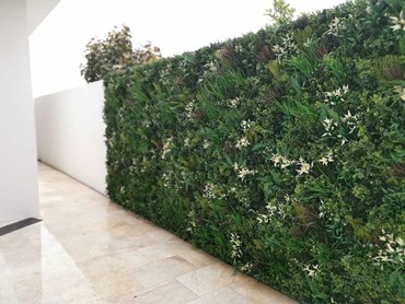 The Premium green wall at the Bossley Park home