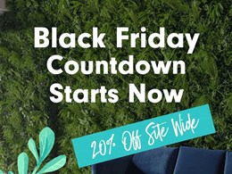 Countdown to Black Friday sale starts now