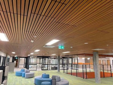 Recycled timber slats matched for use in heritage building fitout at Lindfield Learning Village, NSW