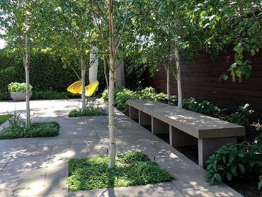 Concrete benches are a great way to add extra seating to your outdoor space