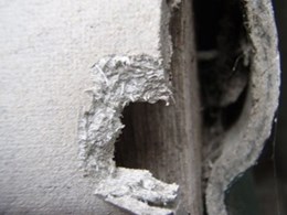 Asbestos testing in Sydney houses