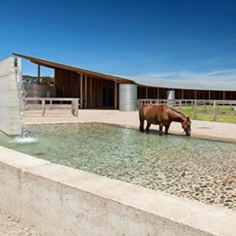 Mornington Peninsula equestrian centre wrapped by earth wall and shaded by expansive zinc roof