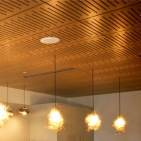 Supatile 10 fully accessible ceiling panels