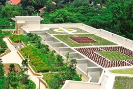 Green roofs: more than meets the eye