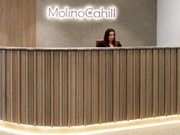 Porta Contours boards create intrigue and movement at MolinoCahill office