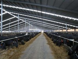 Creating an ideal growing environment for animal comfort
