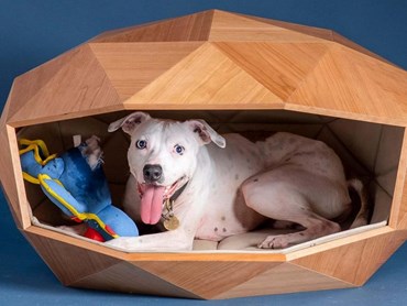 Dome-Home: Foster + Partners' dog kennel design entry for Barkitecture