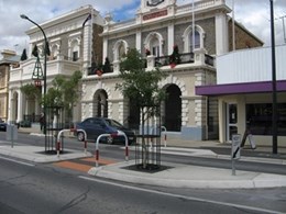 Street trees in Gawler thoroughfare protected by RootCells and Tree Guards
