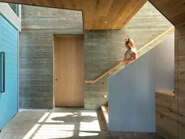 Amendo timber found versatile application throughout the home