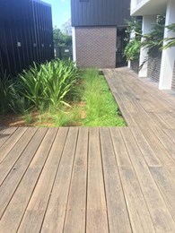 WiseWood ensures quality decking installation at residential property