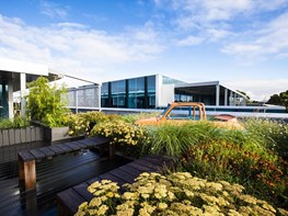 Rooftop garden in Melbourne fosters office liveability