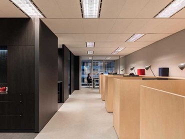 Workstations at the new AACA Sydney office. Photography by Tom Ferguson
